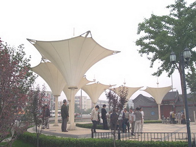 建筑張拉膜公司